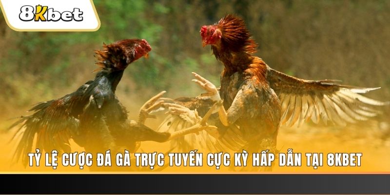 77vin casino KÈO NHÀ CÁI